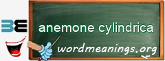 WordMeaning blackboard for anemone cylindrica